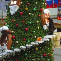 Новый год, как в Европе: в "Карнавал" привезли ель, внутри которой живёт Дед Мороз со зверушками - Nice Days Hostel, Екатеринбург